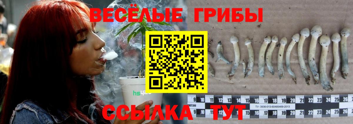 Нефтеюганск  Галлюциногенные грибы Magic Shrooms  Вход с VPN 